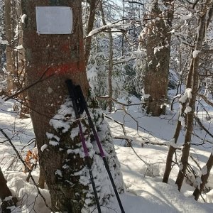 Milda on the summit of Bugaj (31.1.2026 13:39)