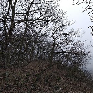 Eliška na vrcholu Strážiště (1.1.2021 14:00)