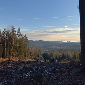 Bizon on the summit of Jelení vrch (7.1.2023)