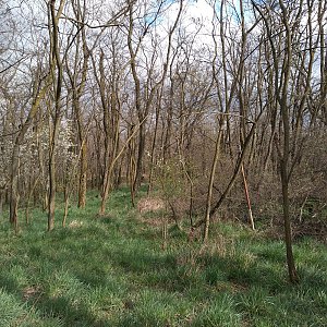 Eliška na vrcholu Nebovid (2.4.2023 16:00)