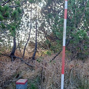 Nojby na vrcholu Pramenáč (2.11.2022 12:05)