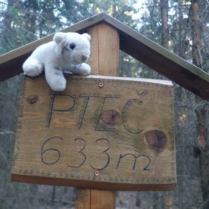 Mykas on the summit of Pteč (11.5.2025 19:17)