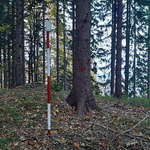 ZdenkaV na vrcholu Válečková Kyčera (13.10.2022 12:44)