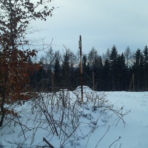 Marcela on the summit of Turov (21.1.2024 15:45)