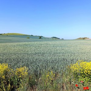 Tor na vrcholu Jiřetín (27.5.2026 9:15)