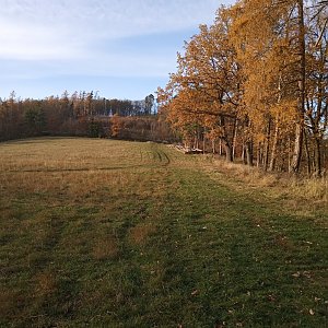 Zuza na vrcholu Chlum (21.11.2020 14:11)