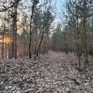 Jiří Králík on the summit of Blata (3.3.2026 17:04)