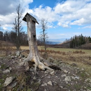 Jiří Králík na vrcholu Javorcová (22.3.2026 11:05)