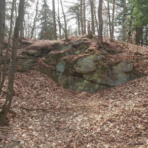 Nojby na vrcholu Lerchenhübel (24.3.2026 12:09)