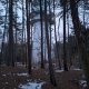 Cyklista 73 na vrcholu Kopanina (21.2.2025)
