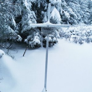 Šárka na vrcholu Travný (22.11.2024 15:22)