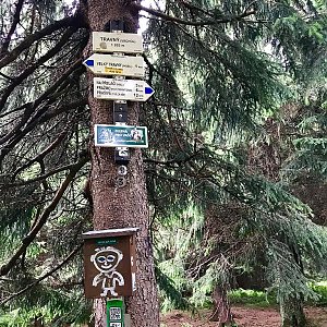 Hanka na vrcholu Travný (22.7.2018 14:17)