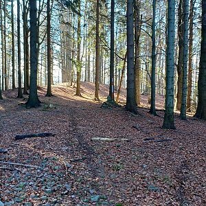 PA!WELL na vrcholu Stanovnická Kyčera (13.11.2022 11:11)