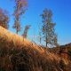 Maruška Tampírová na vrcholu Kunratický vrch
