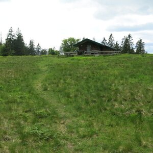 ZdenkaV na vrcholu Hochzellberg (29.5.2024 15:29)