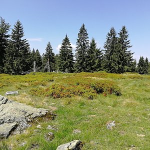 Vladimír Grančay na vrcholu Hochzellberg (14.7.2018 11:56)