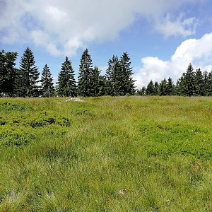 Vladimír Grančay na vrcholu Hochzellberg (10.7.2021 11:39)
