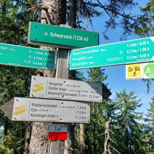 Mykas on the summit of Schwarzeck (21.6.2025 16:08)