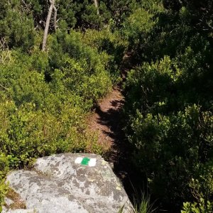 Jiřina na vrcholu Hole (15.7.2023)