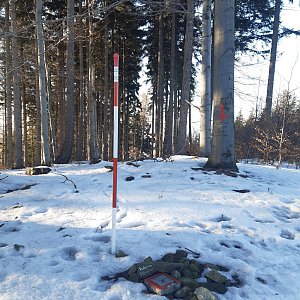 ZdenkaV on the summit of Podgruň S (15.2.2023 15:25)
