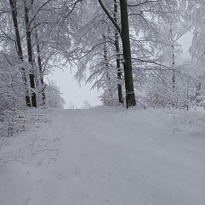 Lucijek na vrcholu Podgruň S (13.2.2021 13:01)