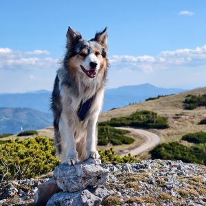Jiří Králík na vrcholu Mittenkogel (23.5.2026 16:59)