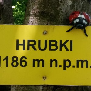 Jiřina on the summit of Hrúbky (23.6.2025 12:15)