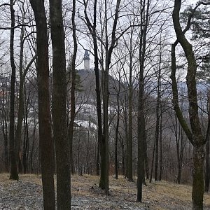 Baajaa na vrcholu Štramberská Trúba (30.1.2021 15:16)