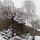 Baajaa na vrcholu Štramberská Trúba (13.2.2021 13:46)