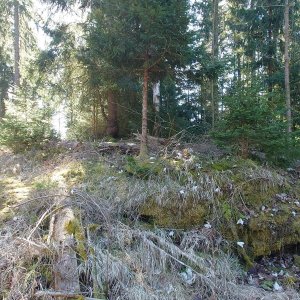 Nojby on the summit of Wilhelmstein (7.4.2026 11:10)