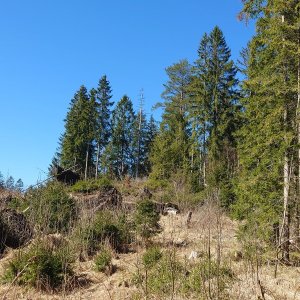 Nojby on the summit of Fuchsstein JZ (7.4.2026 11:58)