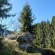 Nojby on peak Fuchsstein
