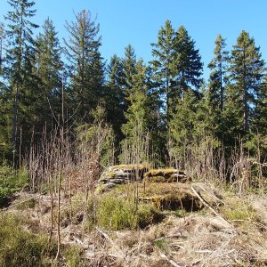 Nojby on the summit of Fuchsbaufelsen (7.4.2026 16:19)