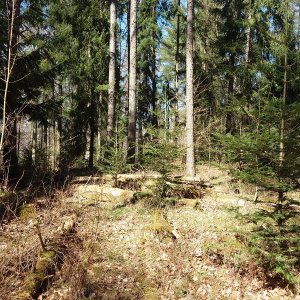 Nojby on the summit of Hirschknochen (8.4.2026 14:21)