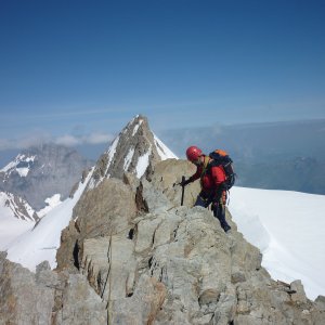 Krtek on the summit of Hinter Fiescherhorn (11.7.2015 5:20)