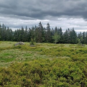 PA!WELL na vrcholu Mittagsplatzl (29.5.2024 14:09)