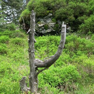 ZdenkaV na vrcholu Mittagsplatzl (29.5.2024 14:11)