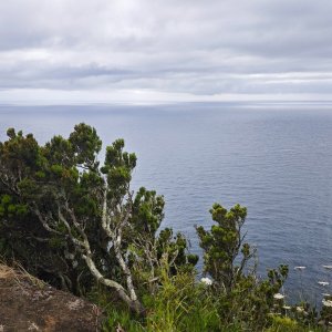 São Pedro