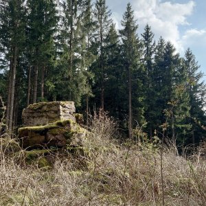 Nojby on the summit of Krinitzberg (16.4.2026 16:48)