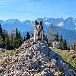 Jiří Králík on the summit of Kraguljše (3.5.2026 9:44)