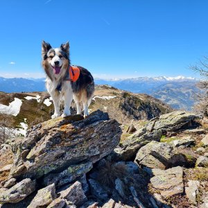 Jiří Králík on the summit of Klein Türndl (2.5.2026 14:05)