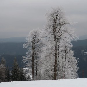 Bouřka on the summit of Almberg (15.2.2025 13:39)