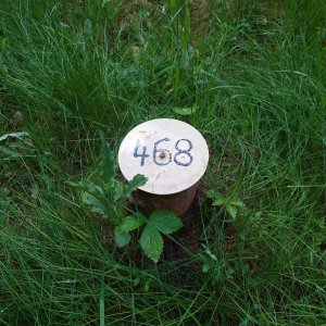 Nojby on the summit of Halde 366 (14.5.2026 16:14)