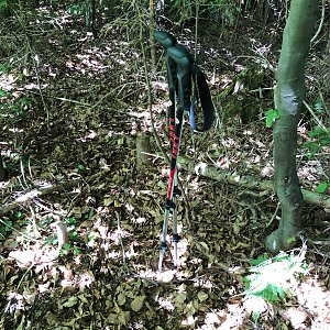 Radka D na vrcholu Hukvaldek (19.6.2022 11:44)