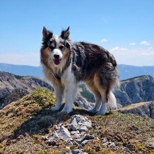 Jiří Králík on the summit of Nieder Knopp (23.5.2026 12:48)