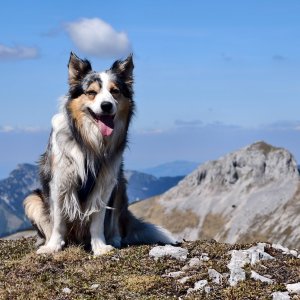 Jiří Králík on the summit of Hinterer Windberg (23.5.2026 14:34)