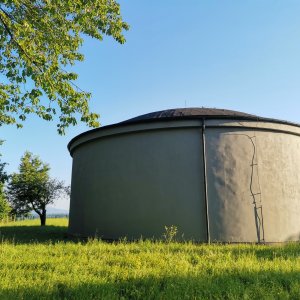 Šárka na vrcholu Doubrava (29.7.2026 18:56)