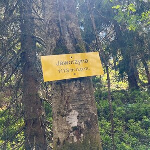 Jan Tihelka na vrcholu Javorina (16.5.2024 13:17)