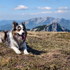 Jiří Králík on the summit of Windplatz (23.5.2026 14:29)