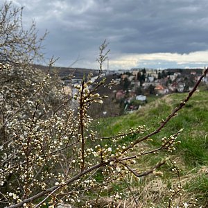 Kam se hrabe Franta! na vrcholu Paví vrch (20.3.2023 13:57)